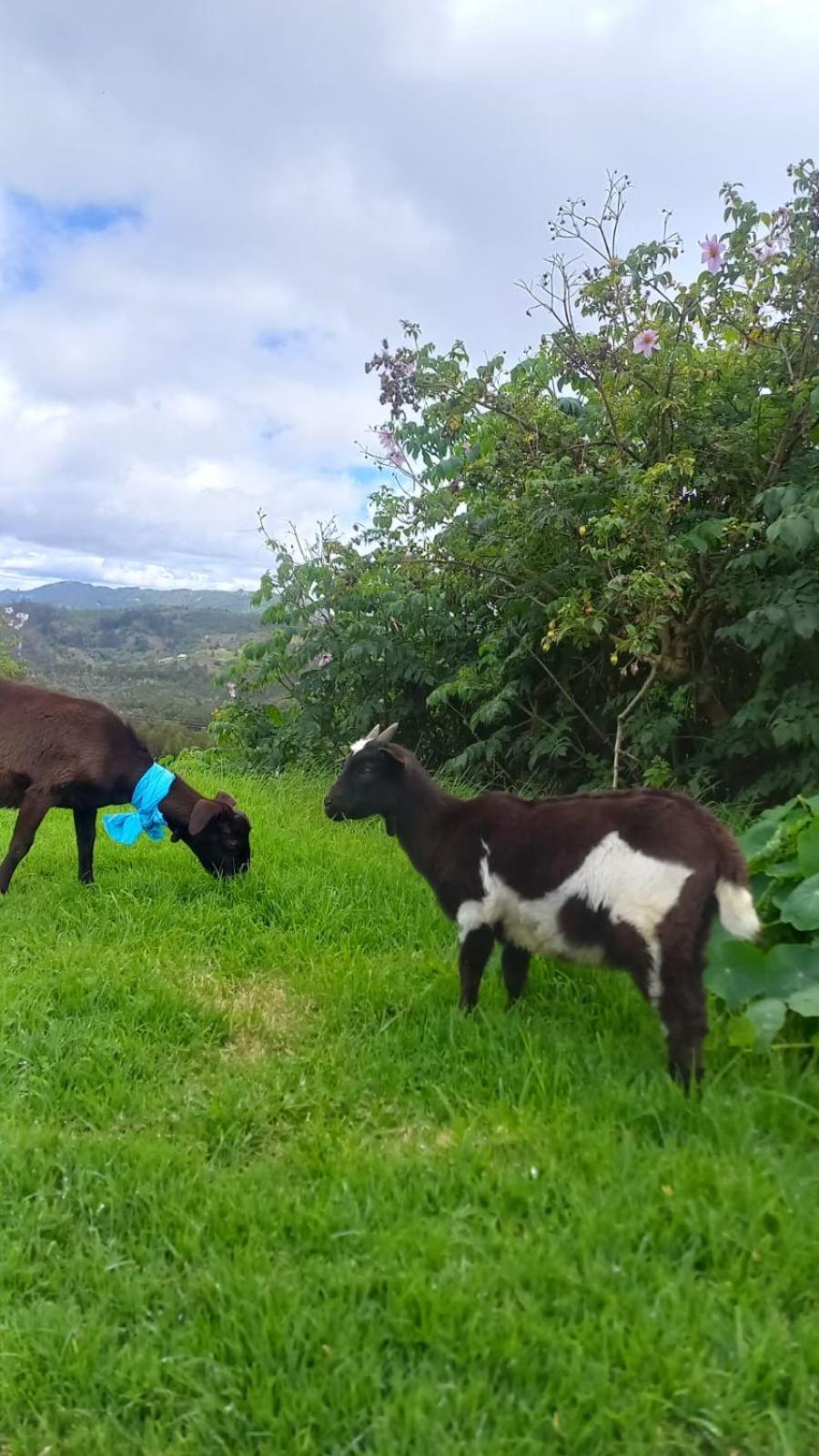 Hotel Rural La Esperanza Suesca Kültér fotó