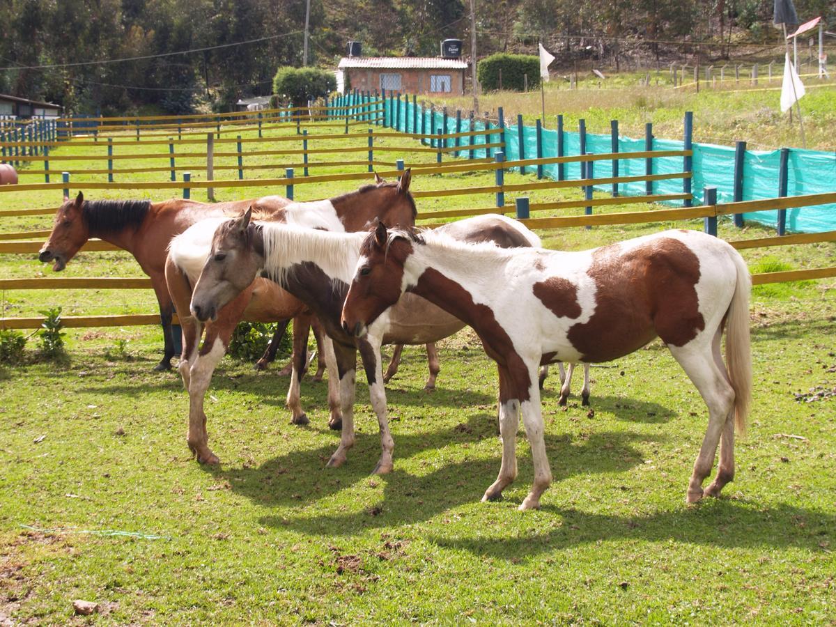 Hotel Rural La Esperanza Suesca Kültér fotó